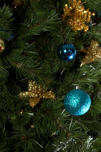 Holiday-008
