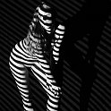 ArtisticNudes-030